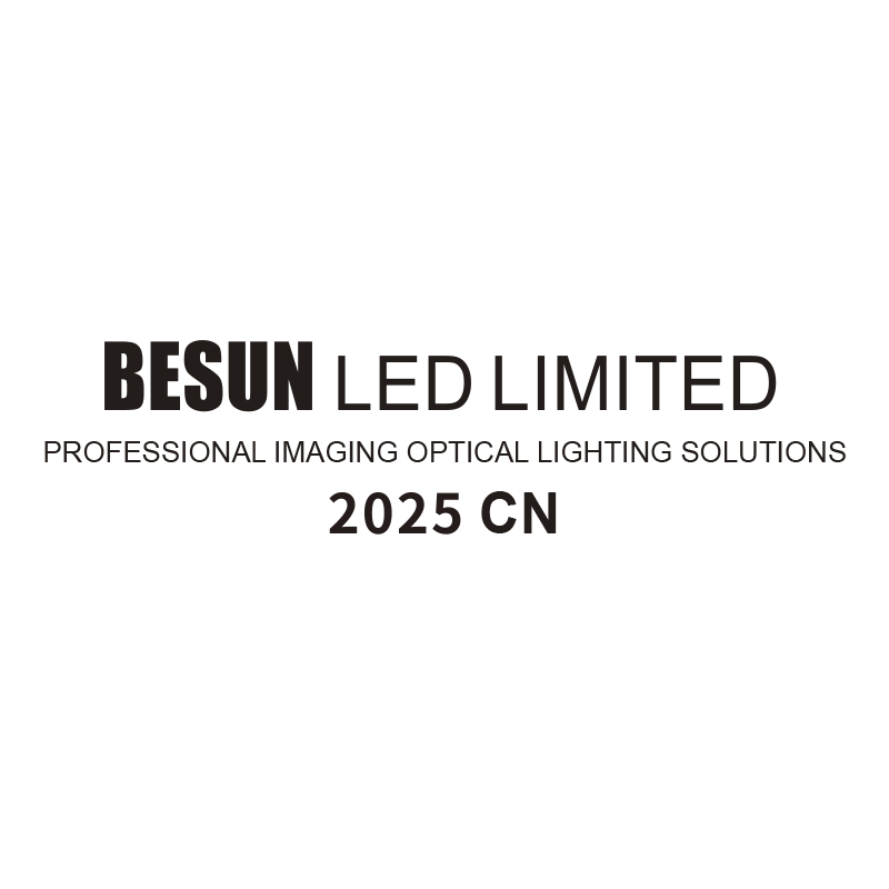 BESUN 2025 Catalog CN