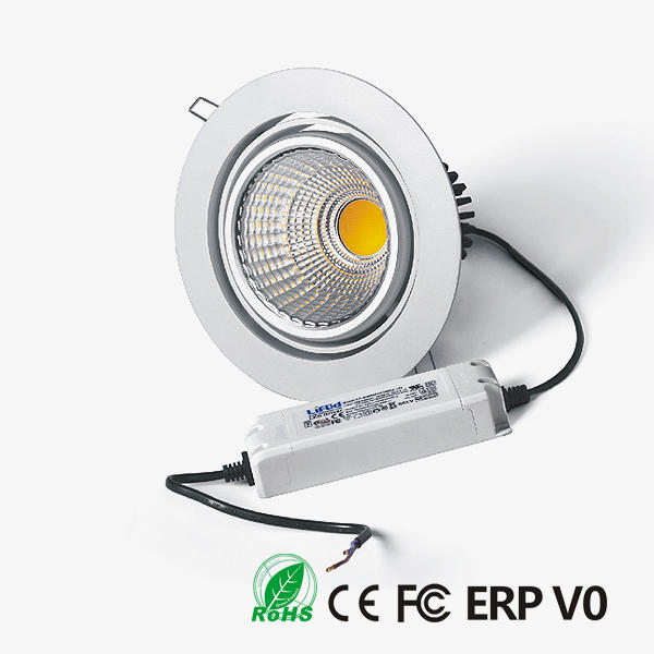 D30170 COB LED Downlight